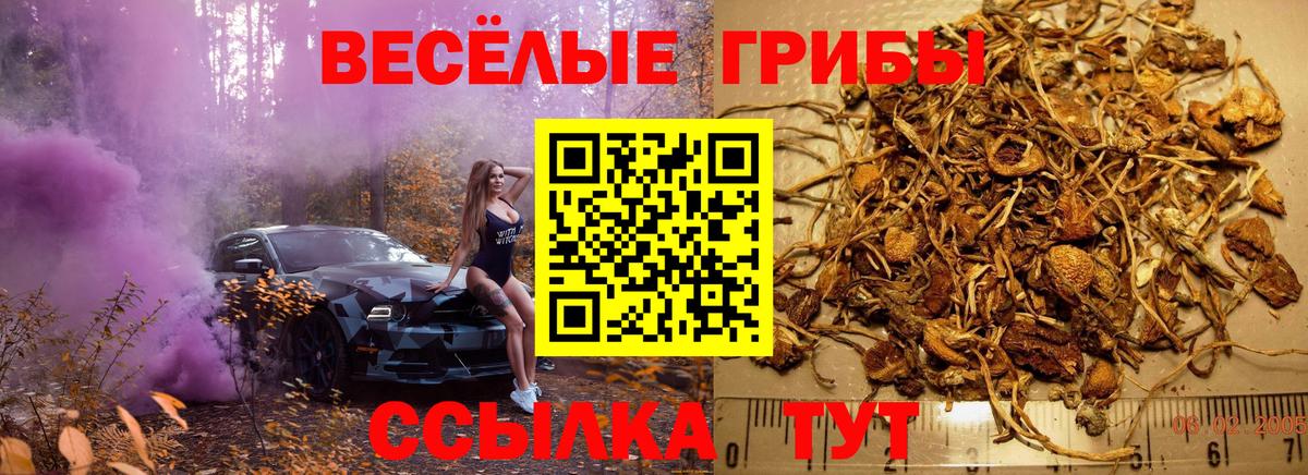 Родники  Псилоцибиновые грибы мицелий  Вход с VPN  Галлюциногенные грибы Psilocybe 
