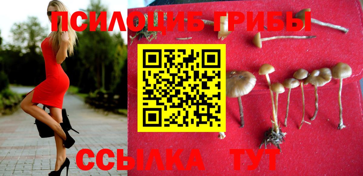 Псилоцибиновые грибы мицелий Родники